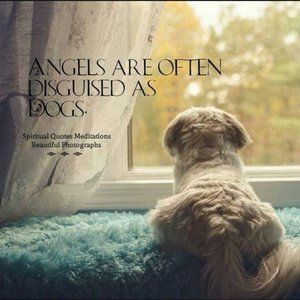 Meet your Posher, Pat